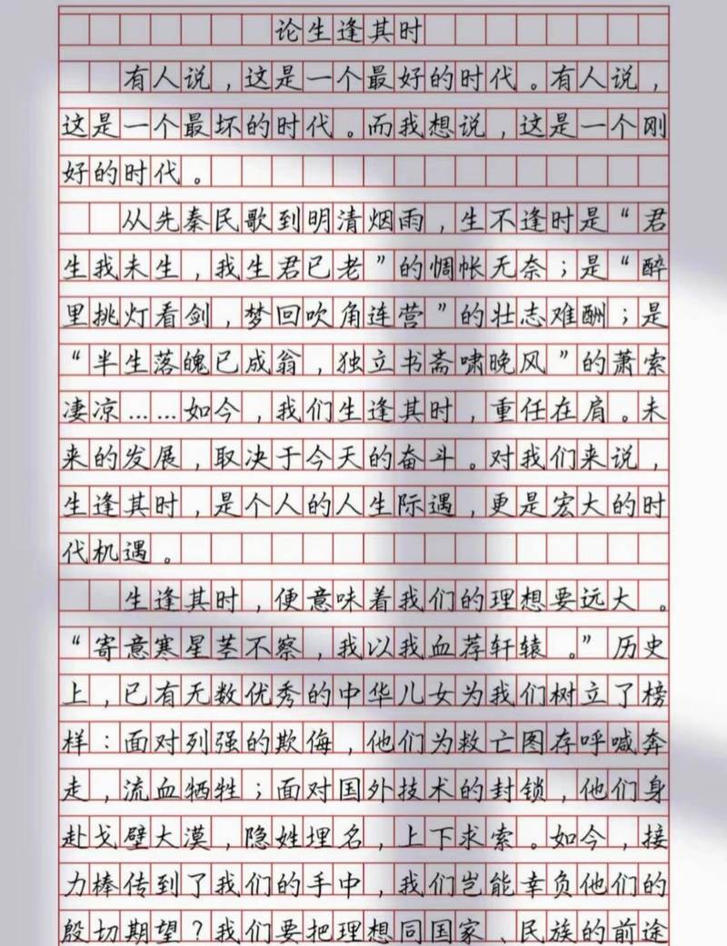 项羽 议论文-图3