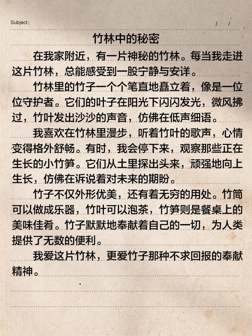 竹子精神为何值得深思？-图2
