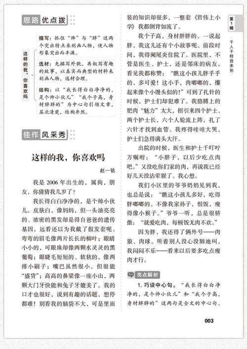 小学生作文分类如何高效辅导?-图2 小学生作文分类如何高效辅导?-图2