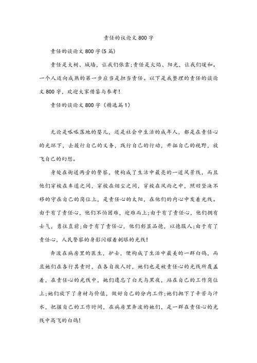 责任 议论文-图2