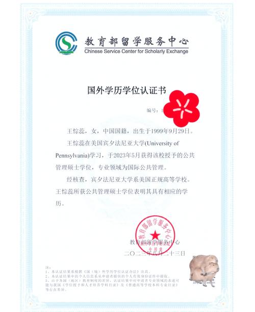 认证辅导如何高效通过？-图1