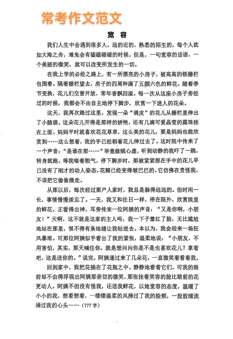 宽容作文 议论文-图2