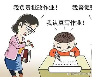 好辅导一下-图1