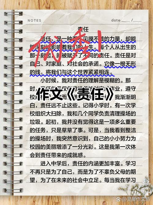 如何真正做到对自己负责？-图3