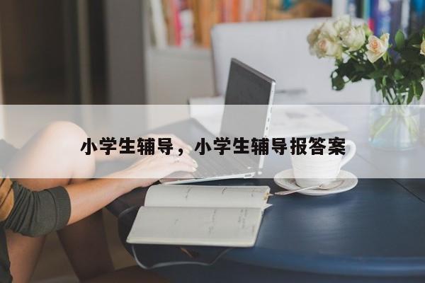 小学生辅导，小学生辅导报答案-图1